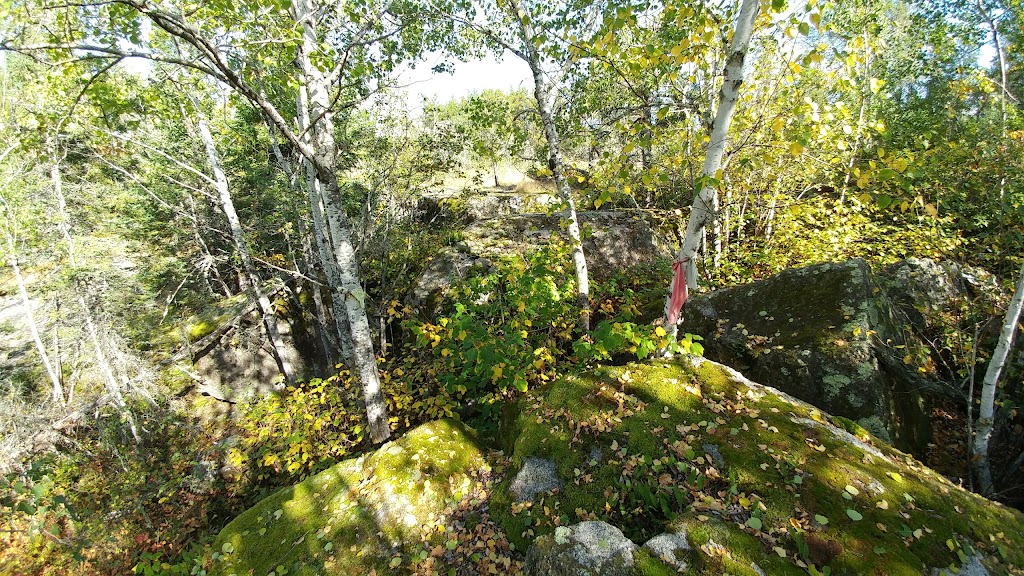 Bannock Point Petroforms | MB-307, Manitoba R0E 1N0, Canada | Phone: (204) 369-3157