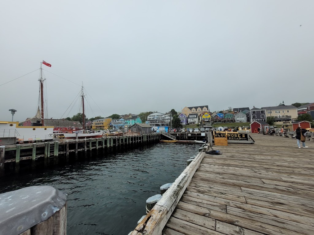 Lunenburg Whale Watching Tours | 62 Bluenose Dr, Lunenburg, NS B0J 2C0, Canada | Phone: (902) 527-7175