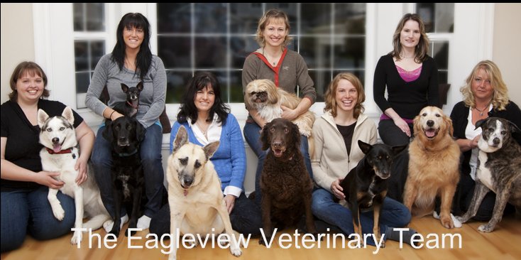 Eagleview Veterinary Hospital | 38147 Cleveland Ave Suite 101, Squamish, BC V8B 0A2, Canada | Phone: (604) 815-6808