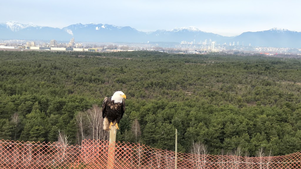 Vancouver Landfill | 5400 72 St, Delta, BC V4K 3N3, Canada | Phone: (604) 873-7000