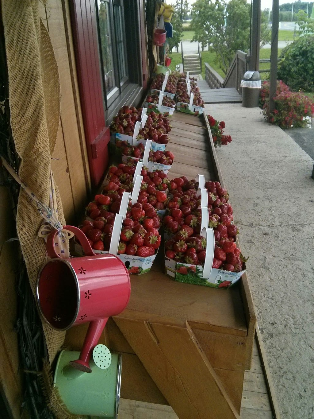 Kiosque Des Grands Jardins Enr | 2087 QC-269, Saint-Gilles, QC G0S 2P0, Canada | Phone: (418) 888-4565