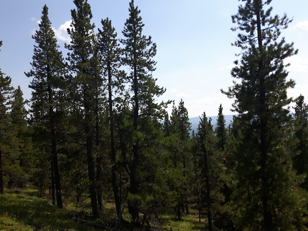 Baruchs Corner | Ranger Summit, Bragg Creek, AB T0L 0K0, Canada