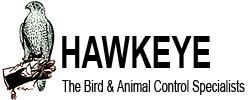 Hawkeye Bird and Animal Control & Falconry Experience Newmarket | 614 Walpole Crescent, Newmarket, ON L3X 2B4, Canada | Phone: (416) 429-5393