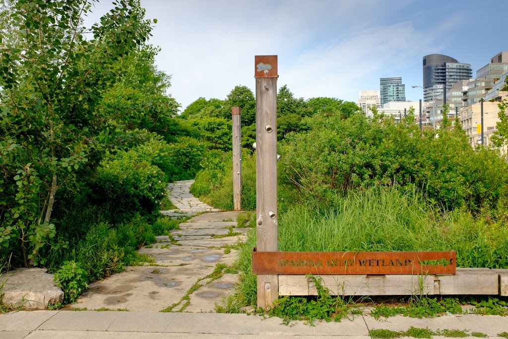 Spadina Quay Wetlands | 441 Queens Quay W, Toronto, ON M5V 2Y3, Canada | Phone: (416) 338-4386