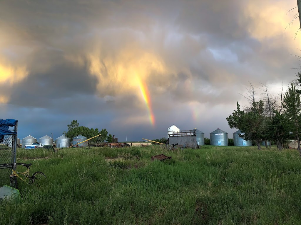 Donnie and Bretts Animal Farm | 215057 Township Rd 302, Kneehill County, AB T0M 0L0, Canada | Phone: (403) 820-5125