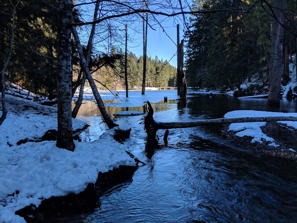 Colliery Dam Park | 635 Wakesiah Ave, Nanaimo, BC V9R 3L2, Canada | Phone: (250) 754-4251