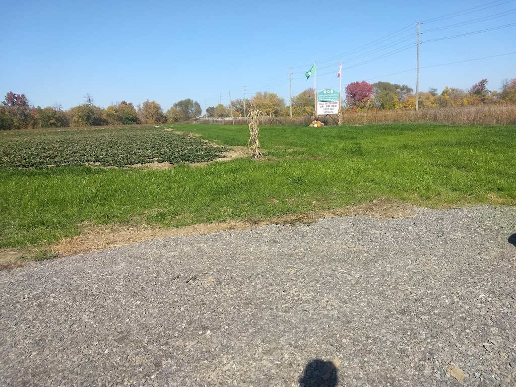 Foster Family Farm - Borrisokane Farm Stand | 3390 Borrisokane Rd, Ottawa, ON K2J 4J3, Canada | Phone: (613) 851-3903