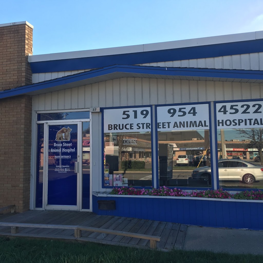 Bruce Street Animal Hospital | 37 Bruce St, Kitchener, ON N2B 1Y4, Canada | Phone: (519) 954-4522