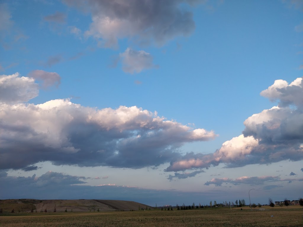 Walden Park | Walden, Calgary, AB T2X 0M7, Canada