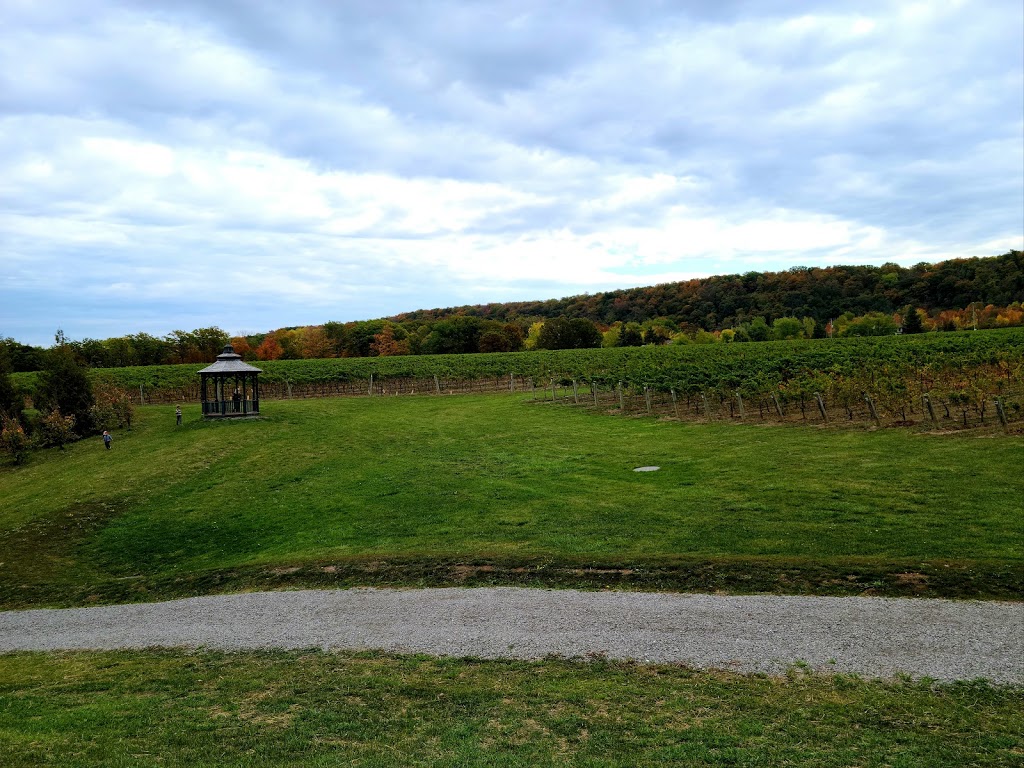 Cave Spring Vineyard | 4043 Cave Spring Rd, Beamsville, ON L0R 1B1, Canada | Phone: (905) 563-9393