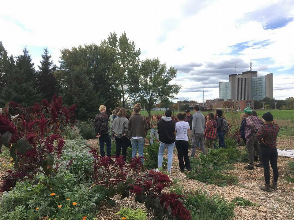 Macdonald Permaculture Showcase Garden (MPSG) | 21111 Rue Lakeshore, Sainte-Anne-de-Bellevue, QC H9X 3V9, Canada | Phone: (438) 883-8207