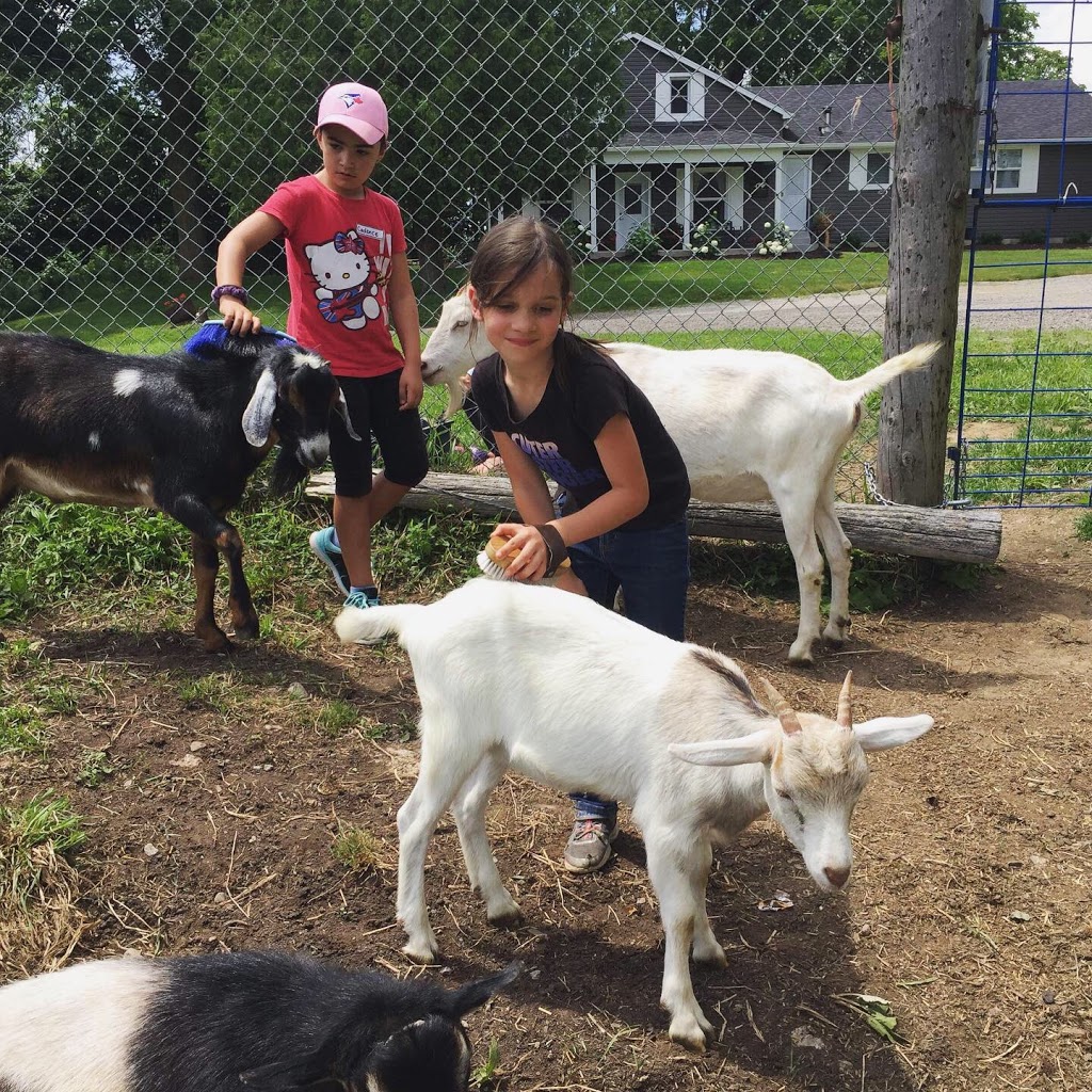 Cambridge Farm and Forest School | 3238 Old Beverly Rd, Cambridge, ON N1R 5S7, Canada | Phone: (226) 533-9591