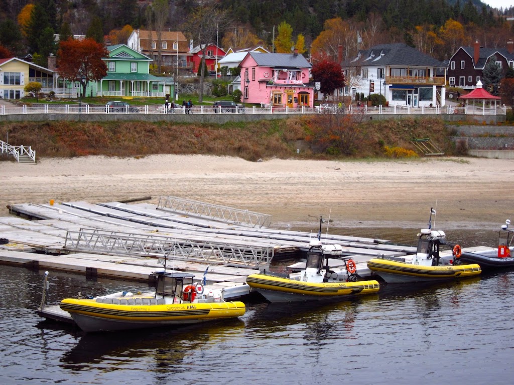 Croisières AML ­Tadoussac Billetterie | 177 Rue des Pionniers, Tadoussac, QC G0T 2A0, Canada | Phone: (866) 856-6668