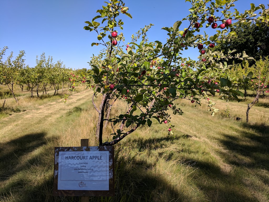 Sprout Farms Apple Orchards | 56307 Lily Lake Rd, Bon Accord, AB T0A 0K0, Canada | Phone: (780) 921-3460
