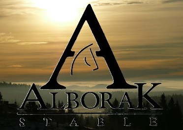 Alborak Stable Inc. | 62134 Township Rd 252, Calgary, AB T3Z 3R7, Canada | Phone: (403) 932-4819