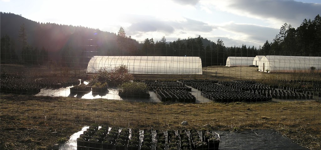 Arnisa Farm | 3720 Holland Ave, Cobble Hill, BC V0R 1L3, Canada | Phone: (250) 732-4486