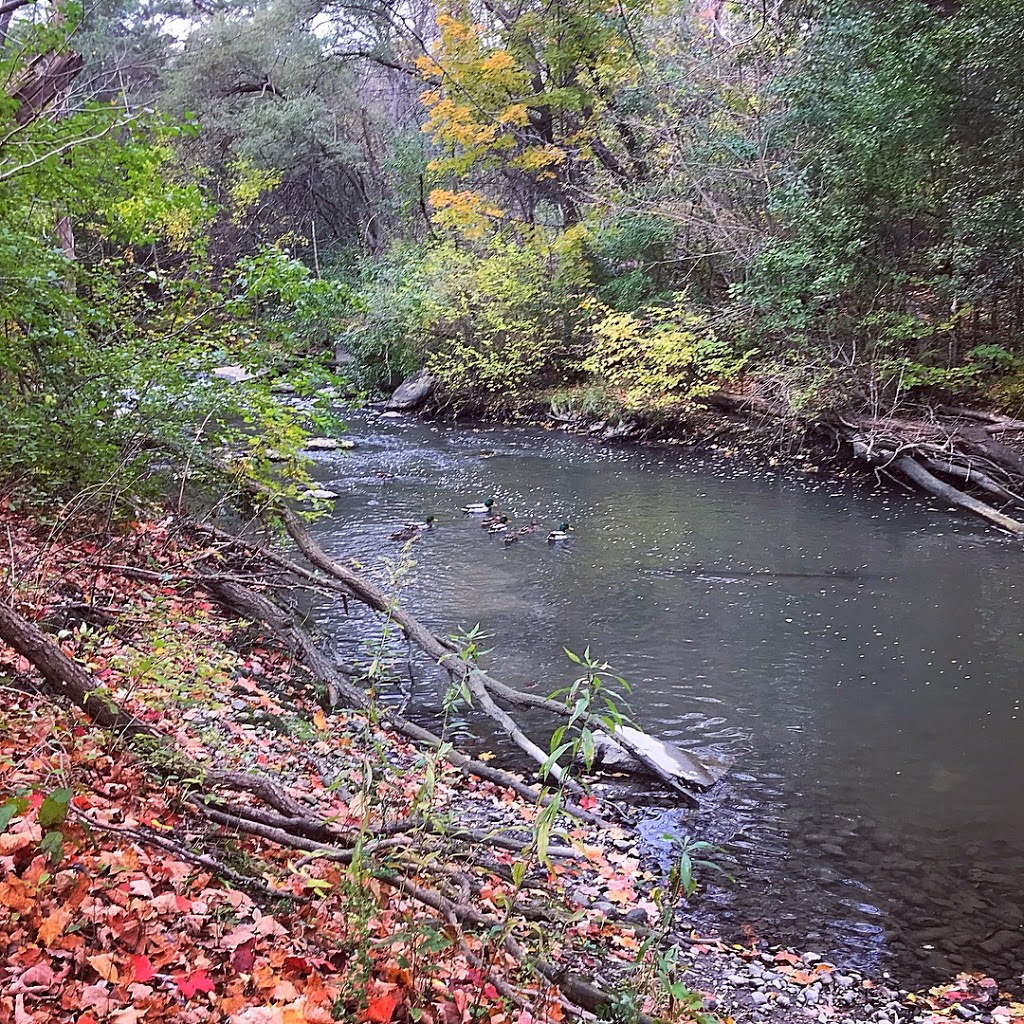 Forest Valley Outdoor Education Centre | North York, ON M3H 4W5, Canada | Phone: (416) 395-5110