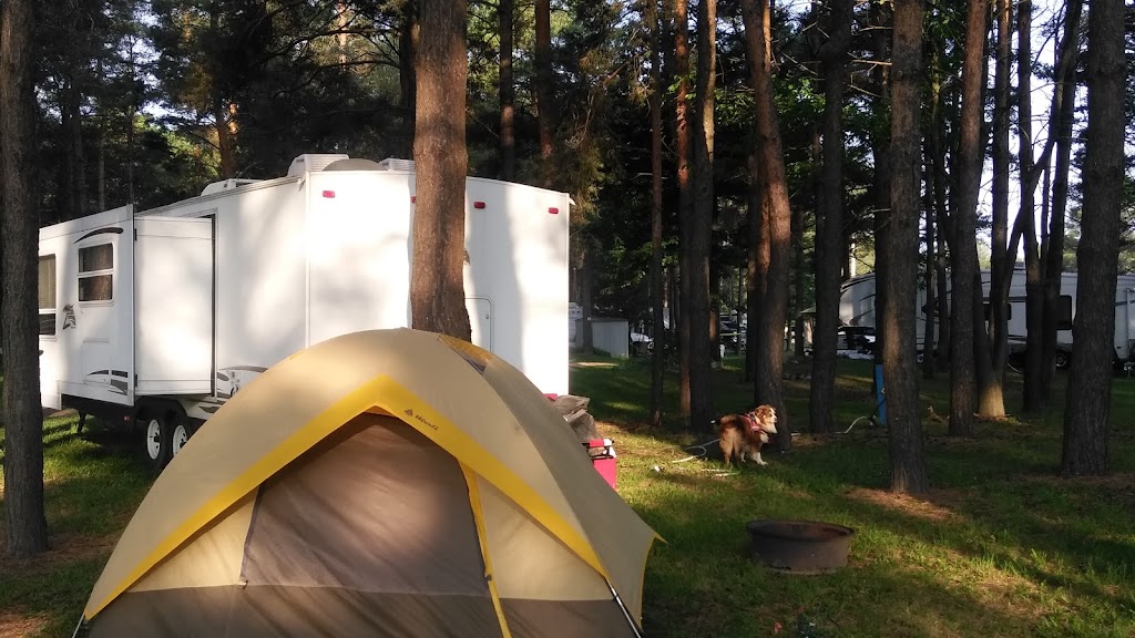 Pine Tree Leisure Camping | 2863 Bruce County Rd 15, Tiverton, ON N0G 2T0, Canada | Phone: (519) 832-5183