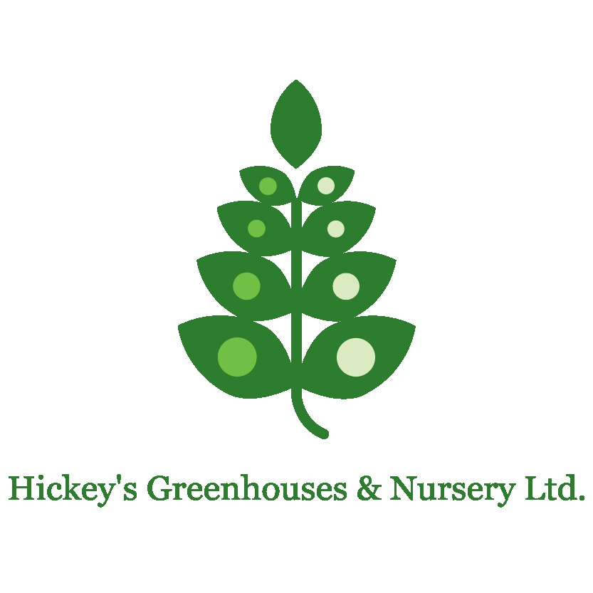 Hickeys Greenhouses & Nursery Ltd. | NL-100, Dunville, NL A0B 1S0, Canada | Phone: (709) 227-7217