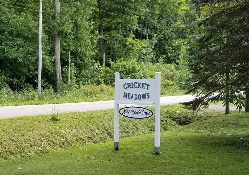 Cricket Meadows | 63058 Perry Rd, Wellandport, ON L0R 2J0, Canada | Phone: (416) 795-3847