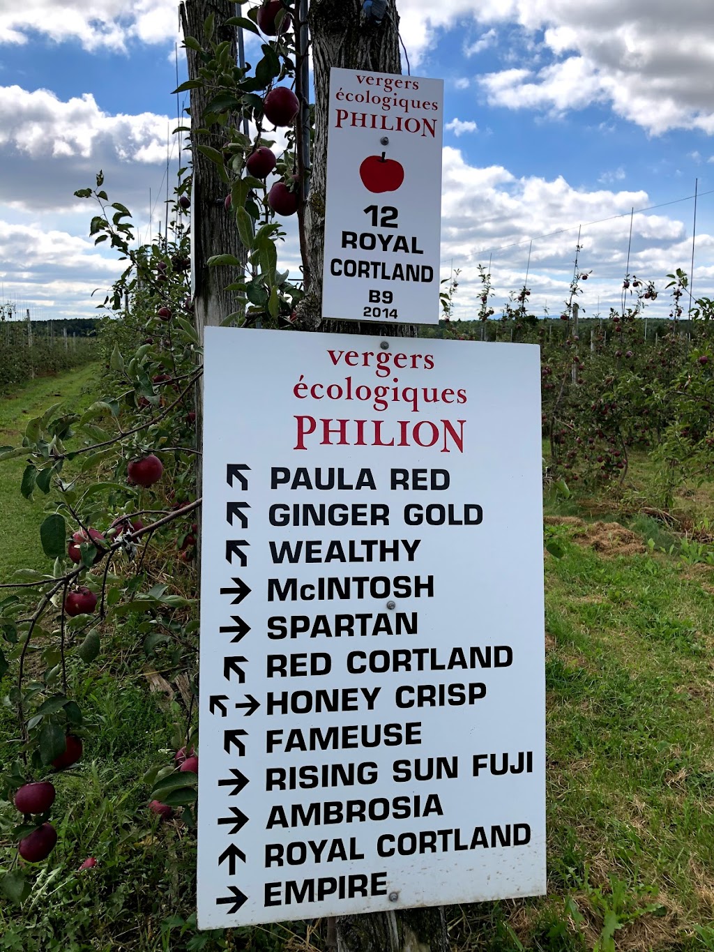 Philion Orchards | 389 QC-202, Hemmingford, QC J0L 1H0, Canada | Phone: (450) 247-3133