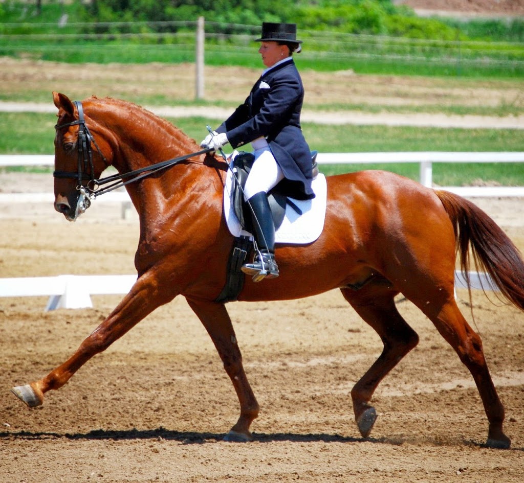 Whitchurch Riding Academy | 19480 McCowan Rd, Mount Albert, ON L0G 1M0, Canada | Phone: (905) 473-5260