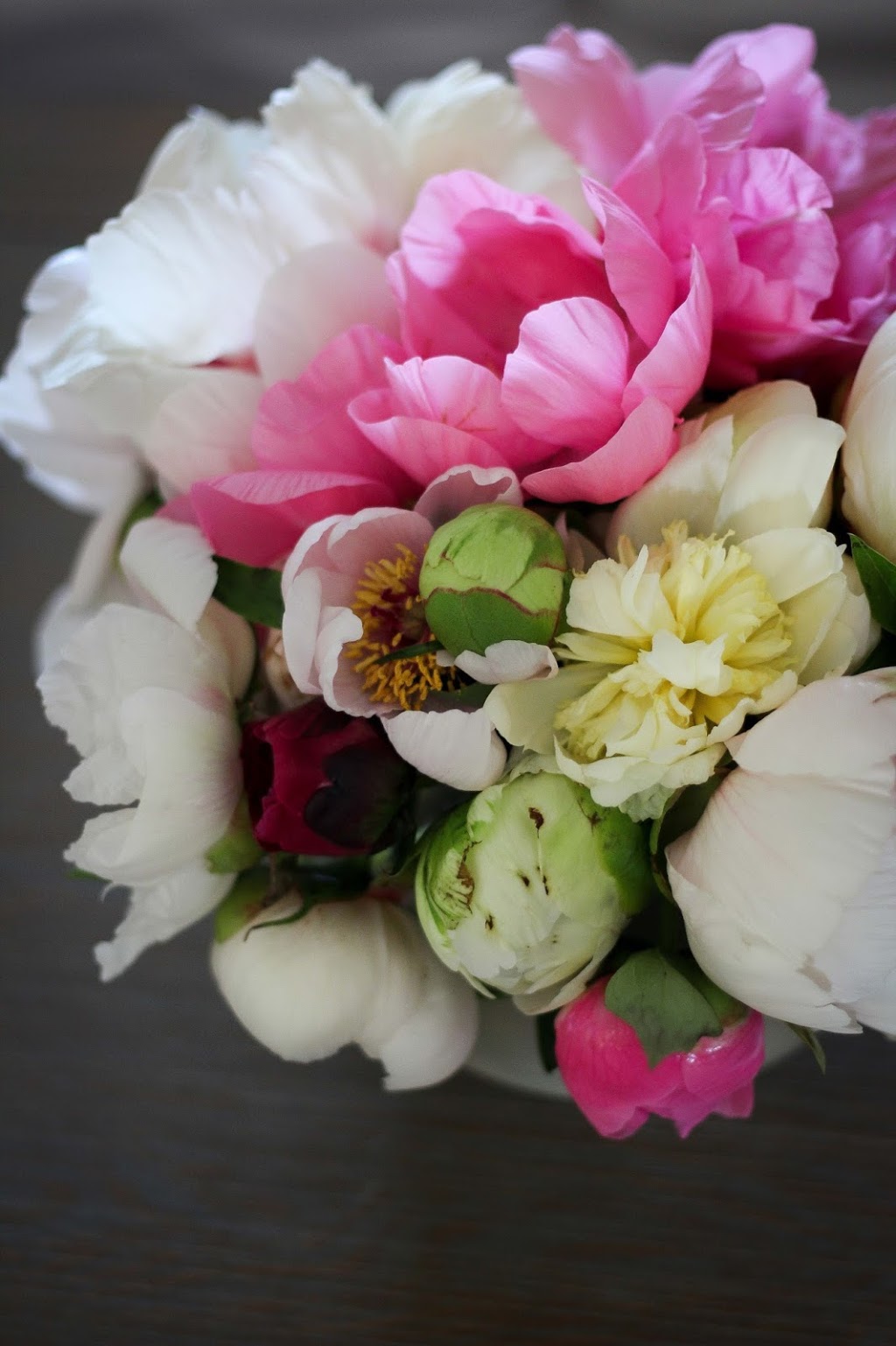 Pivoines Capano | 566 QC-138, Saint-Augustin-de-Desmaures, QC G3A 1W7, Canada | Phone: (418) 878-8555