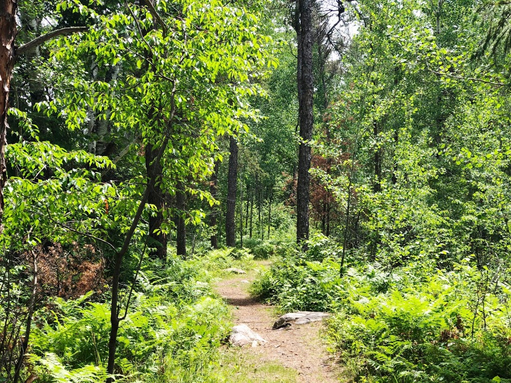 Ancient Beach Trailhead | Grand Marais, MB R0E 0T0, Canada