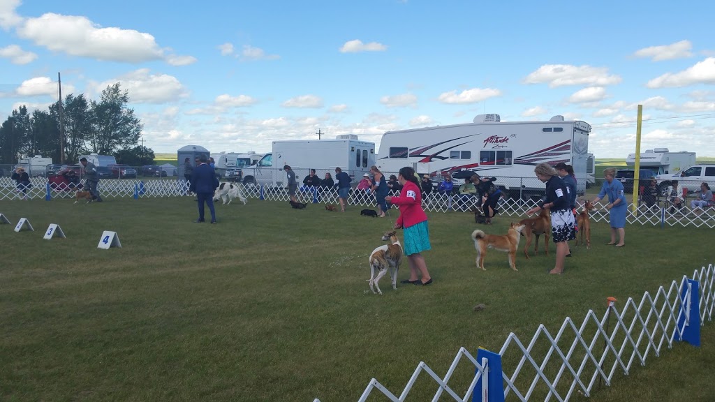 Trochu Lions Campground | 235 Elevator Rd, Trochu, AB T0M 2C0, Canada | Phone: (403) 442-3085