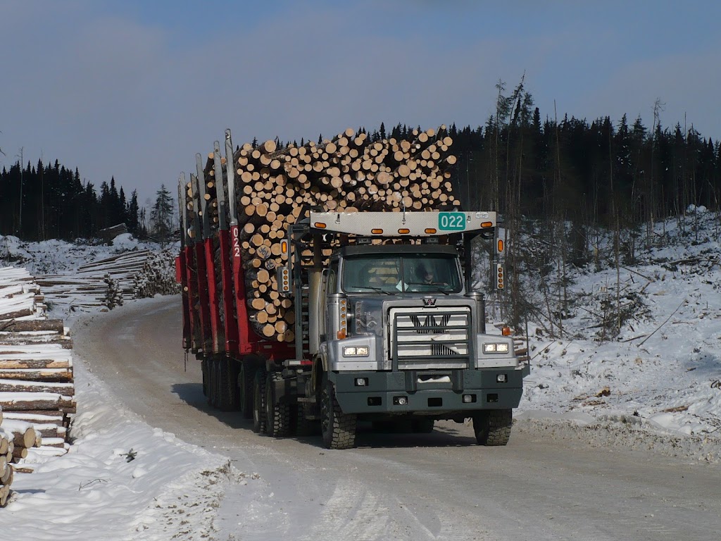 Coopérative Forestière de Petit Paris | 576 Rue Gaudreault, Saint-Ludger-de-Milot, QC G0W 2B0, Canada | Phone: (418) 373-2575