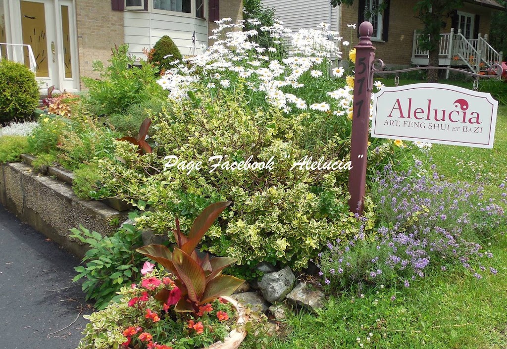 Alelucia, Art, Feng Shui et BaZi | 577 Rue de Vimy, Magog, QC J1X 4Y9, Canada | Phone: (819) 571-7505