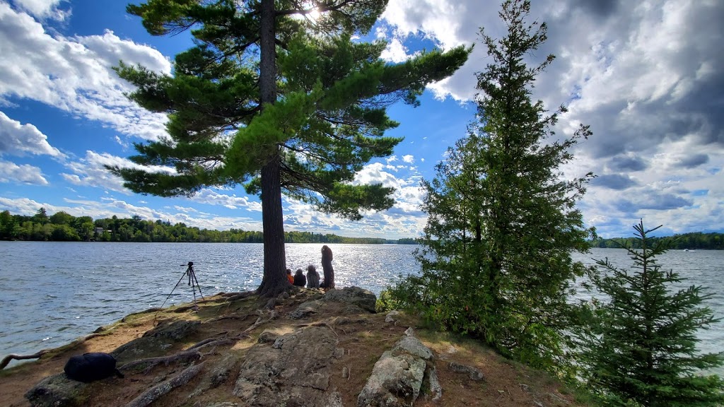 Silver Lake Provincial Park | 22726 Hwy 7, Maberly, ON K0H 2B0, Canada | Phone: (613) 268-2000