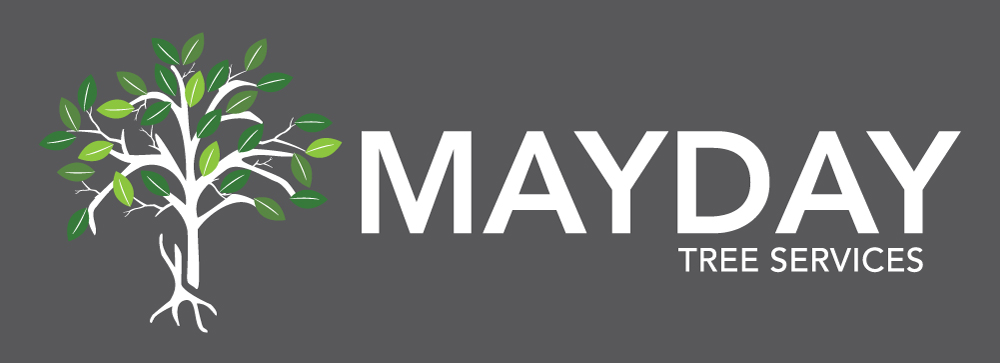 Mayday Tree Services | 42 Gordon Crescent, St. Albert, AB T8N 0Z1, Canada | Phone: (780) 690-1316