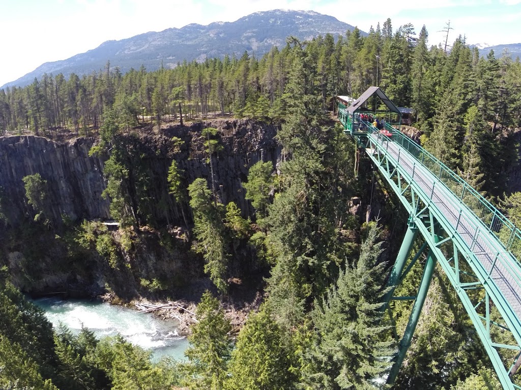 Whistler Bungee Bridge | Calcheak Forest Service Rd, Whistler, BC V0N 1B1, Canada | Phone: (877) 938-9333