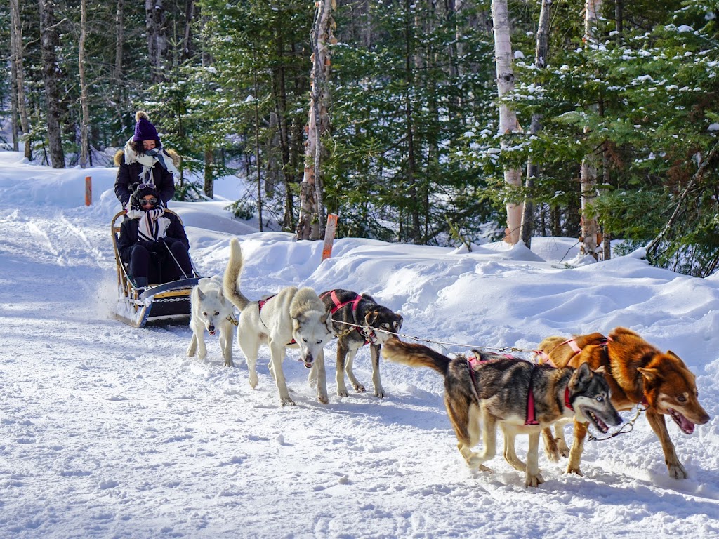 Martin le pêcheur | 265 Av. Canadienne, Sainte-Adèle, QC J8B 2J4, Canada | Phone: (450) 229-7020