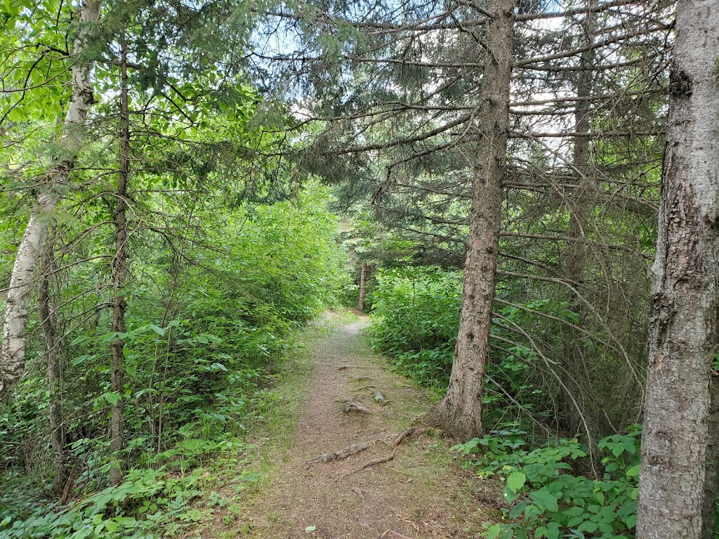 Steels Ferry Overlook and Spring Ridge Self-guiding Trail | South Cypress, MB R0K 0P0, Canada | Phone: (204) 827-8850