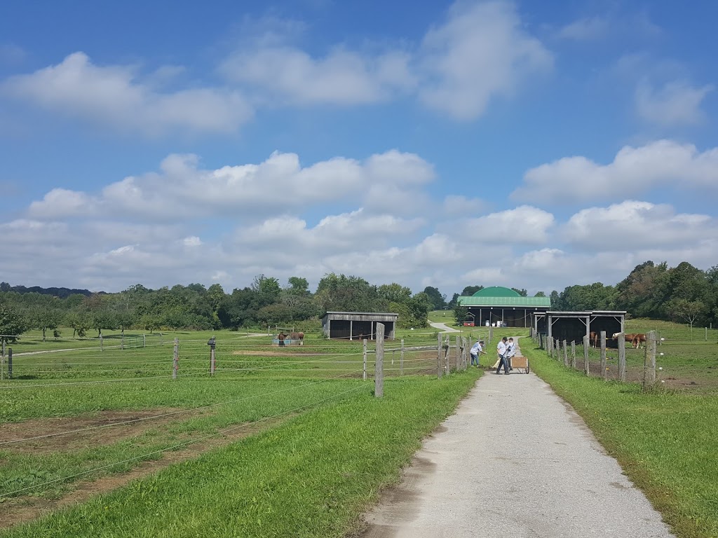 Stables At Windreach | 312 Townline Rd, Ashburn, ON L0B 1A0, Canada | Phone: (905) 655-0889