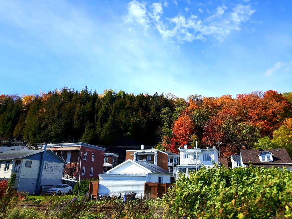 Pourvoirie De La Comporte | 41 Rue Beauregard, Clermont, QC G4A 1H4, Canada | Phone: (418) 439-1717