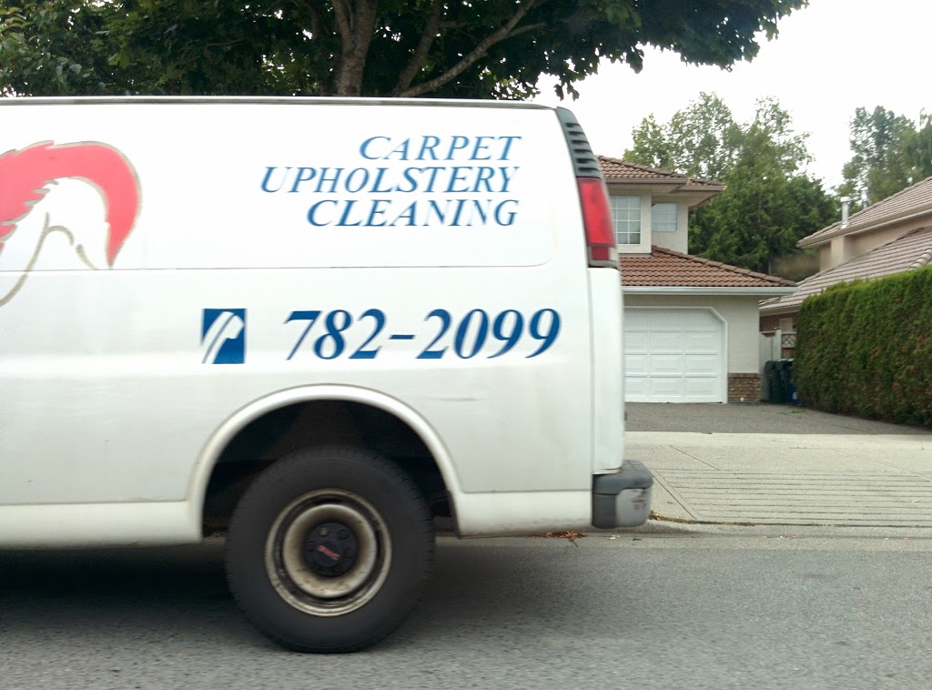 Red Squirrel Carpet Cleaning | 5011 Woodwards Rd, Richmond, BC V7E 1G9, Canada | Phone: (604) 782-2099