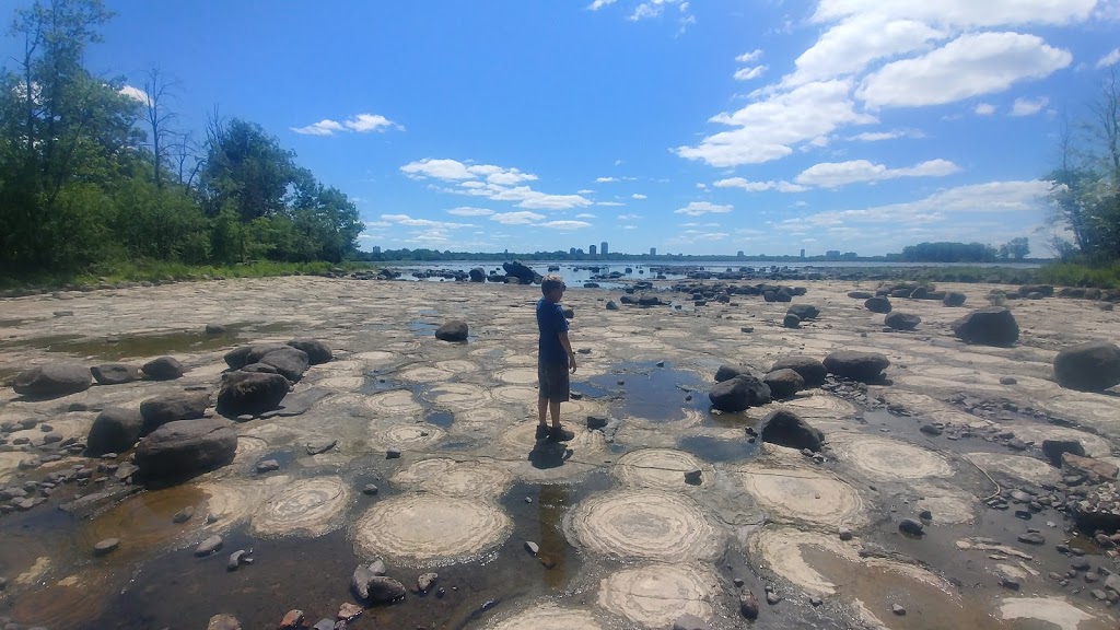 Stromatolites | Sentier des Voyageurs, Gatineau, QC J9H 7K9, Canada