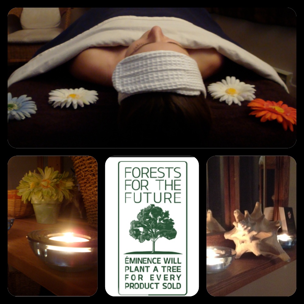 Ashton Wellness Massage & Spa | 4226 Boul Saint-Jean #400, Dollard-des-Ormeaux, QC H9G 1X5, Canada | Phone: (514) 813-5990