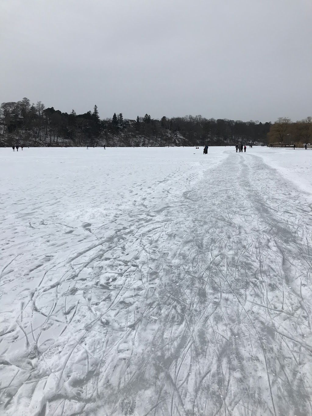 Grenadier Pond | High Park-Swansea, Toronto, ON M6S, Canada | Phone: (416) 721-2012