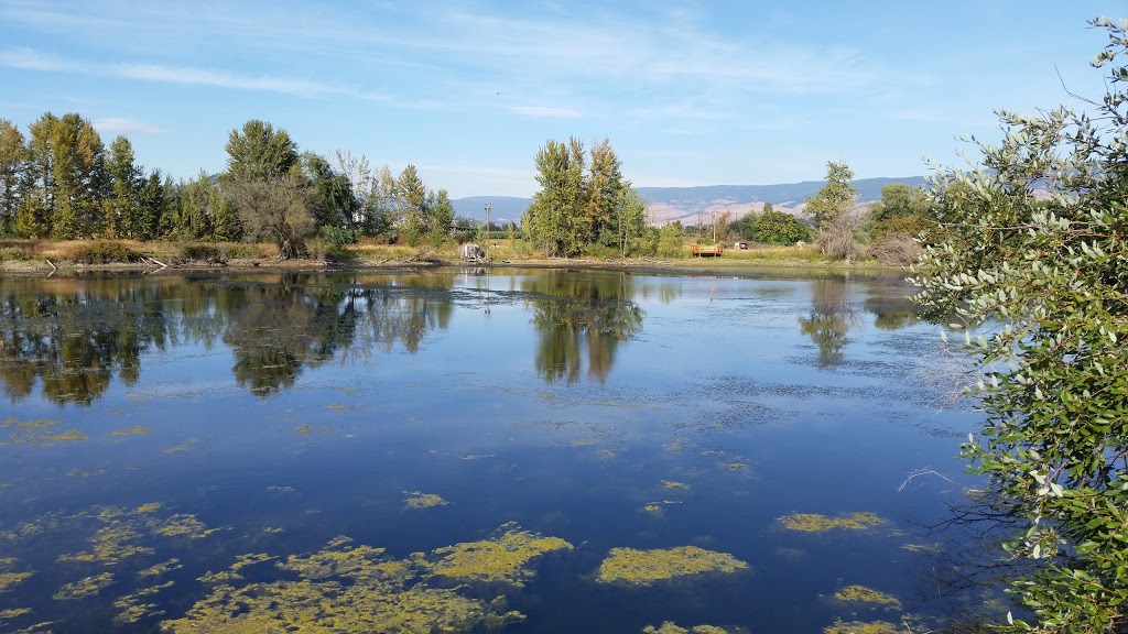 Munson Pond Park | South Pandosy - K.L.O., Kelowna, BC V1W, Canada