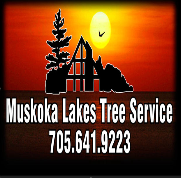 Muskoka Lakes Tree Service | 1124 Skeleton Lake 3 Rd, Utterson, ON P0B 1M0, Canada | Phone: (705) 641-9223