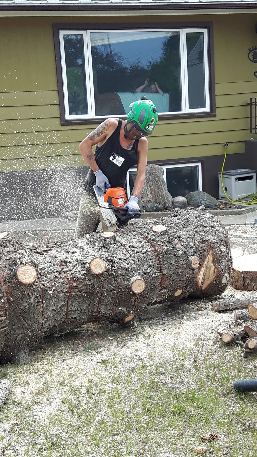 Second Nature Tree Care | 929 16 St S, Lethbridge, AB T1J 3C1, Canada | Phone: (403) 915-3986