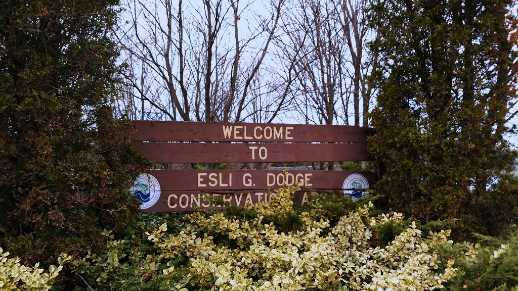 Esli Dodge Conservation Area | 88 Main St S, Forest, ON N0N 1J0, Canada | Phone: (519) 243-1400