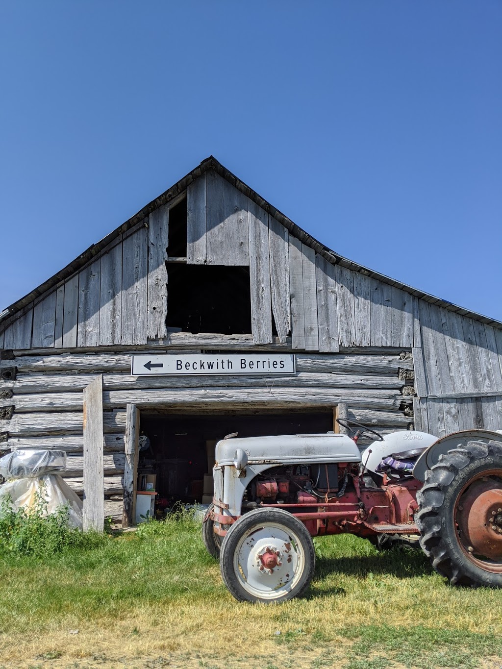 Beckwith Berries | 9961 Cavanagh Rd, Carleton Place, ON K7C 0C4, Canada | Phone: (613) 253-4171