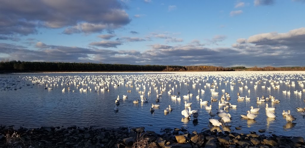 Parc du réservoir Beaudet | 47 Rue Garand, Victoriaville, QC G6T 0C8, Canada | Phone: (819) 751-4521