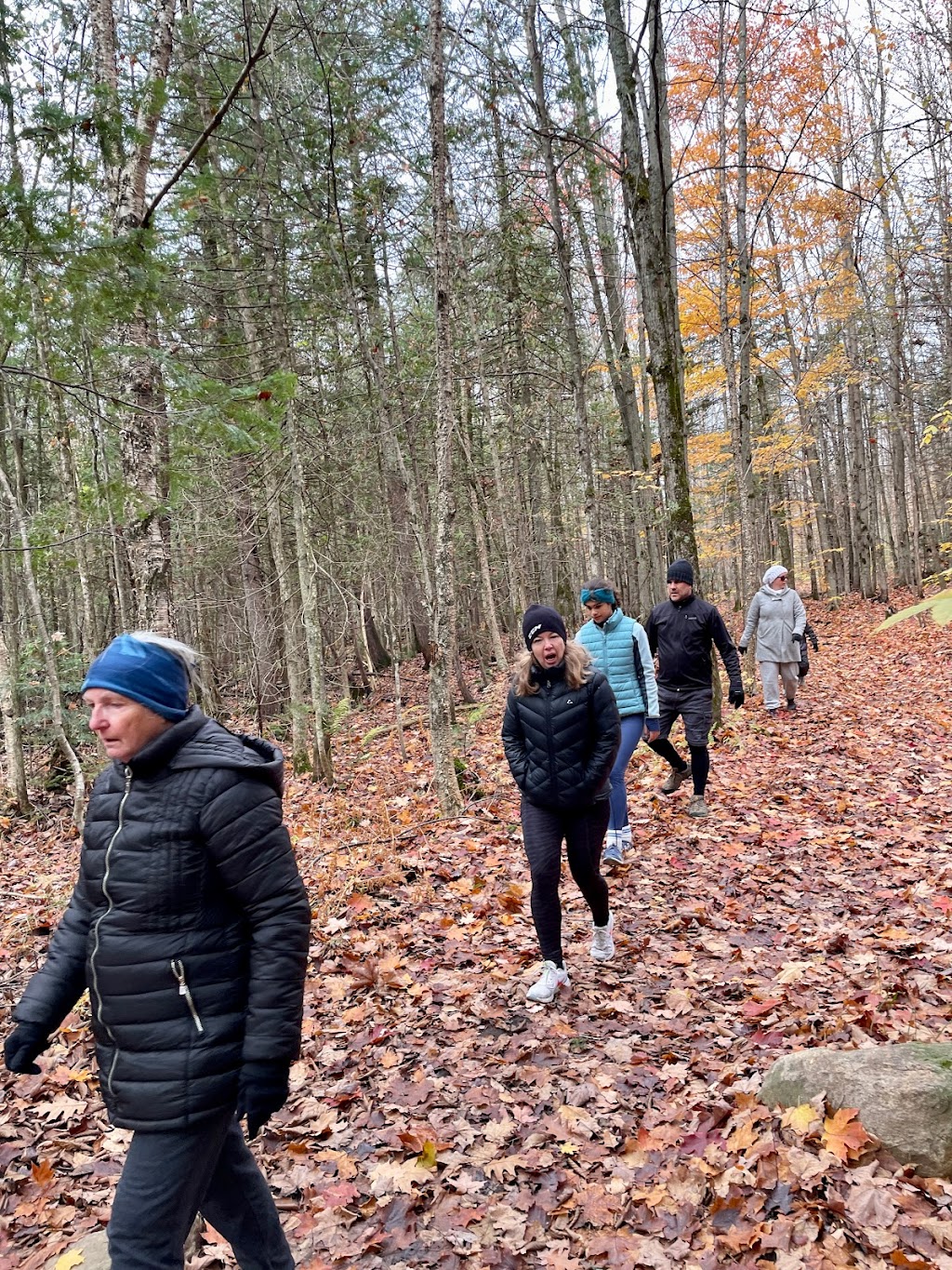 Yoga Nature Cours Plein Air | 1095 Rue du Geai-Bleu, Saint-Jérôme, QC J5L 1E5, Canada | Phone: (514) 258-8413