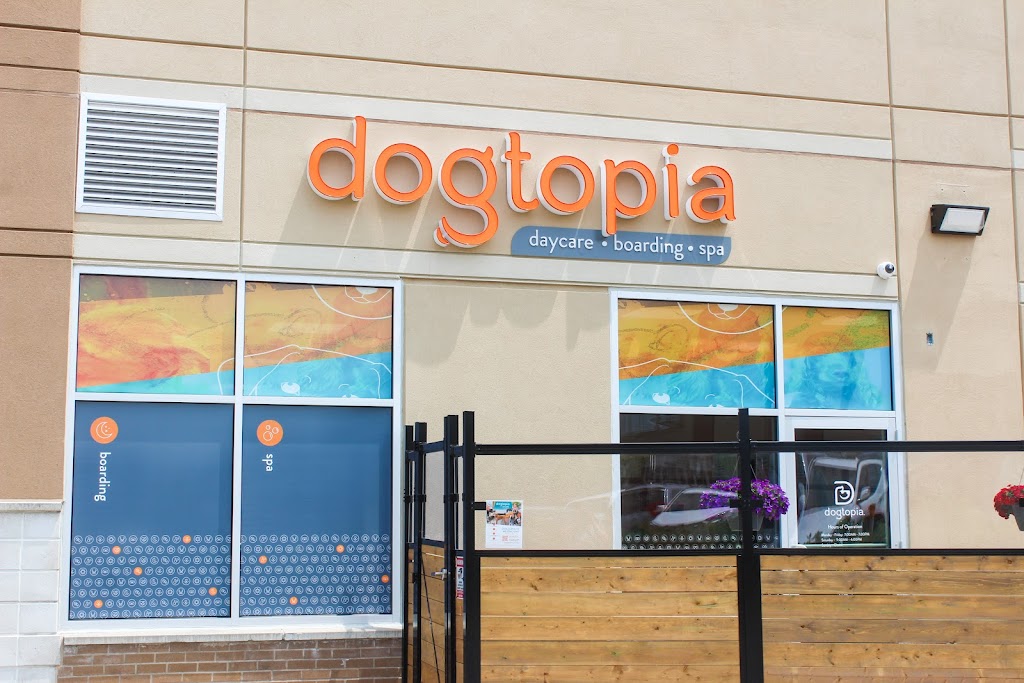 Dogtopia of Westmount | 785 Wonderland Rd S Unit A9, London, ON N6K 1M6, Canada | Phone: (226) 271-0880